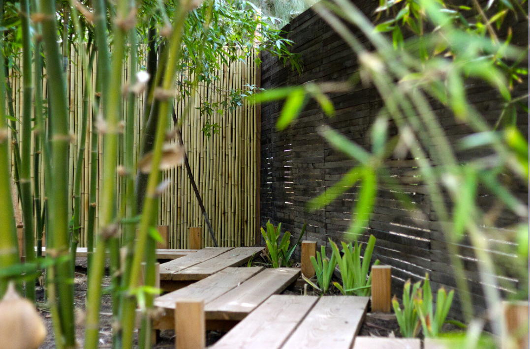 ÃÛèÖÖ±²¥ Botanical Gardens to expand